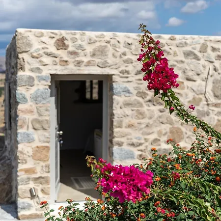 Blue Eyes Avlia Naxos 别墅 Pláka