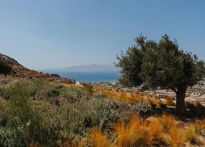 Blue Eyes Avlia Naxos