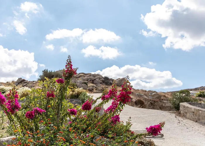 Blue Eyes Avlia Naxos * Plaka (Naxos)